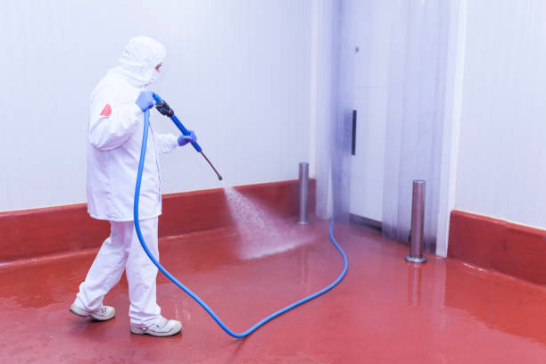 Best Oil Spill Cleanup  in South San Francisco, CA